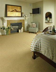 master bedroom carpet